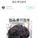 버블그린염색 네이버블로그