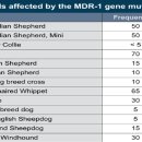 다산동물약국 이미지