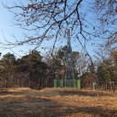 용산-194 Daum카페