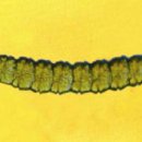 바다세상 이미지