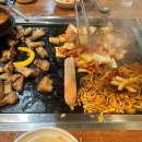 탐라도야지 이미지