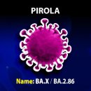 코로나19의 새로운 변이 피롤라 (Pirola) 이미지