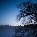 엽차엽차 이미지