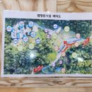 맑은숲 이미지