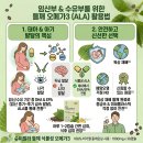 슈퍼릴라 | 슈퍼릴라가 알려주는 식물성 들깨 오메가3, 임산부 수유부 섭취 팁