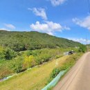 벽진농장 이미지