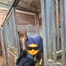 구유목장 이미지