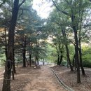 무양공원 유아숲체험원 이미지