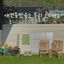 하늘다리민박 | 춘천 독채 애견동반숙소 두리민박 &amp; 밤하늘 별이가득했던 시골느좋숙소 내돈내산 : 두리스테이, 에어비앤비
