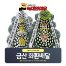 새금산병원 이미지