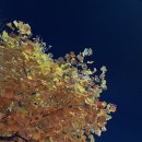 아나덴 슈가링왁싱 잠실새내점 이미지