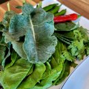 진도 한우 참치회 전문점 이미지