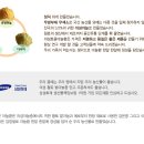 의성토종구운마늘환