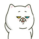 아리헤어 이미지