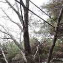 안산-대부-대부-4 이미지