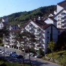 중앙대로195번길 이미지