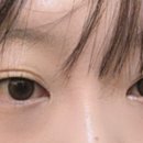 아이블리 이미지