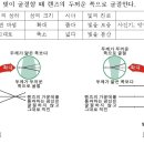 볼록렌즈와 오목렌즈의 특징(기본) 이미지