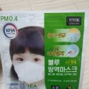 블루키위 이미지