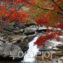 취하리 이미지