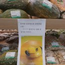 금촌농업협동조합 이미지