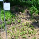 섭이네 농장 이미지