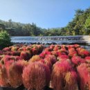 바다향기 이미지