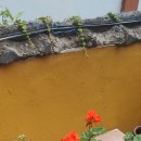 선경 사우나 이미지