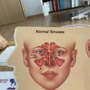 전유전만년설한의원 이미지