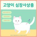 풍산동물병원 이미지