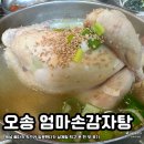 엉겁결 | 오송 엄마손감자탕 | 복날 가성비 삼계탕 한 그릇 제대로 먹은 찐 맛 후기