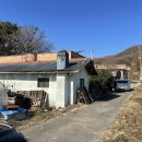 성보펫케어 주식회사 이미지