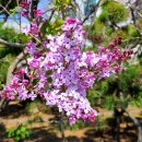 신동1통 마을회관 이미지