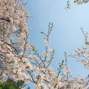 꽃.보.다꽃을보듯너를본다 | 부자 멘토 메리님 강의 후기<부동산책으로 공부하고 싶으신 분들에게>
