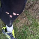 경천대일주로 | 자전거 전국일주 마지막날(충주~대구)