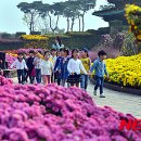 국화어린이공원 이미지