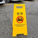 [삼척] 2026 삼척 장미축제 후기 및 플러스마이너스 밀크티 내돈내산 후기