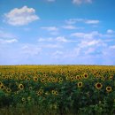 작은하늘 이미지