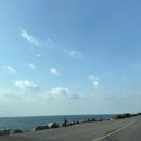 돌고래전망카페 | 제주도 대정읍 ㅣ 돌고래를 볼 수 있는 카페!! '핀스' 후기(돌고래 봄!!)