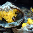 제일가든 이미지