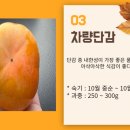 일심2로 R 이미지