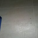 더푸른의원 이미지