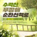 수락산 순환산책로 티스토리