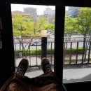 머리하는날 이미지