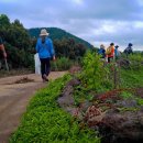 창흥동해수욕장 이미지