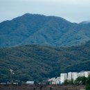 스피드웨이 | F1 쇼런 용인 스피드웨이 피치스 런 현장 후기