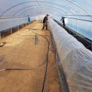 가온목장 이미지