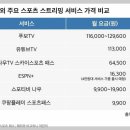 쿠팡플레이 스포츠 패스 요금제 완전 분석 (와우+패스 총합 비용)