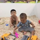 테이트카페 이미지