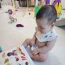 아기 영어 원서 첫 노출 Baby&#39;s Busy World 내돈내산 리얼후기
